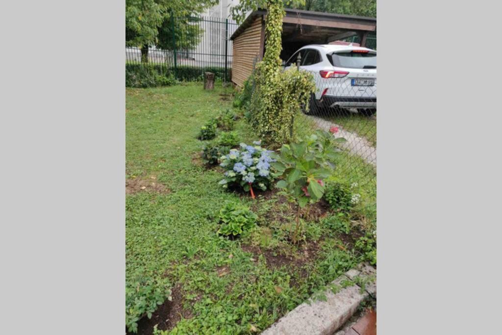 Villa Hortensia Liubliana Exterior foto